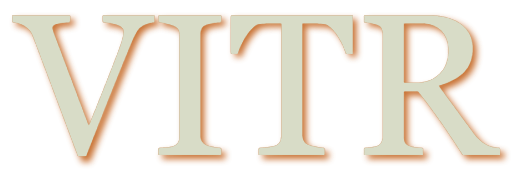 Chaussures & vêtements modernes pour toute la famille